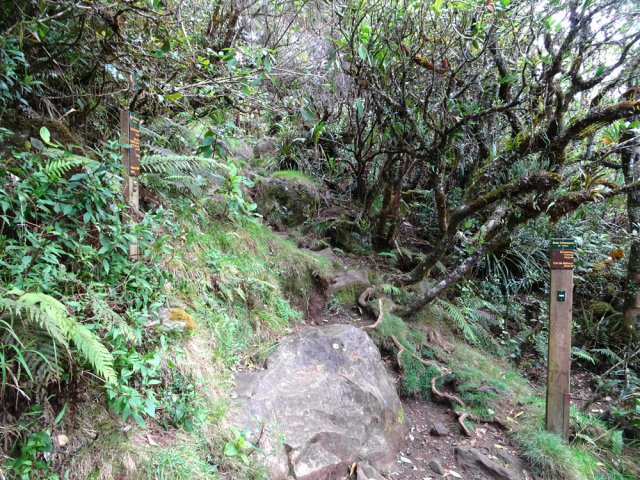 Le croisement vers la RF Duvernay et le Col de Bébour