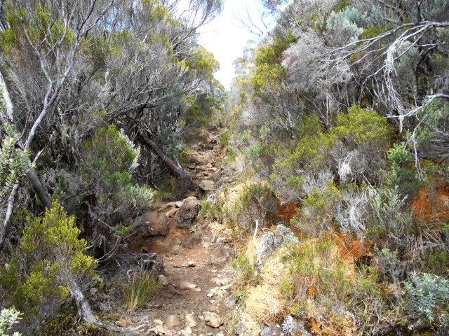 Le sentier devient de plus en plus caillouteux