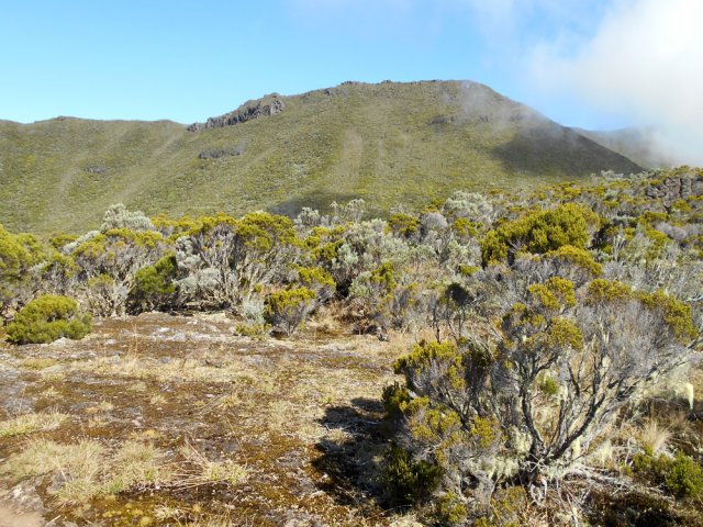 Arrivée au Plateau Kervéguen dominé par le Sommet de l'Entre Deux