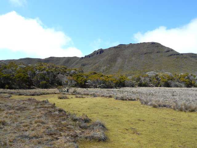 La zone, très plane, est souvent marécageuse