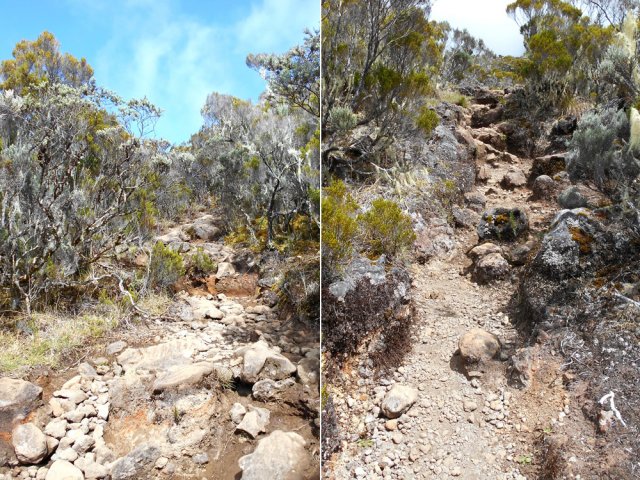 On ne quittera plus ces cailloux jusqu'au terminus