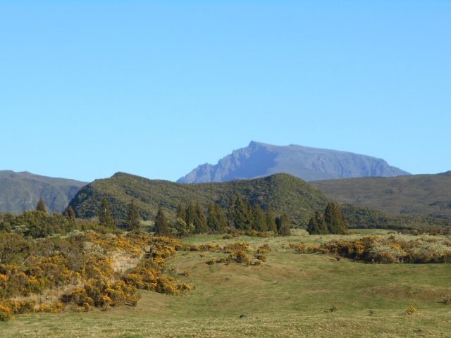 Le Piton Tortue qu'on contournera bientôt par la gauche