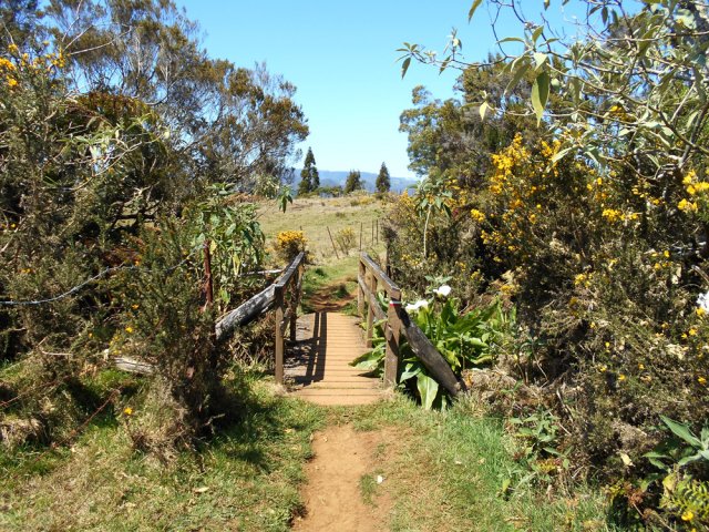 Plusieurs ravines à passer jusqu'au Coteau Maigre