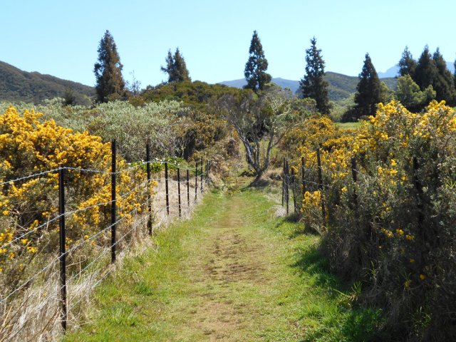 Le sentier est toujours bien entretenu