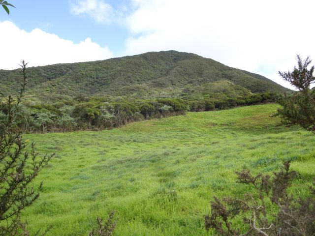 Les dernières prairies à l'approche du Piton Lepervenche