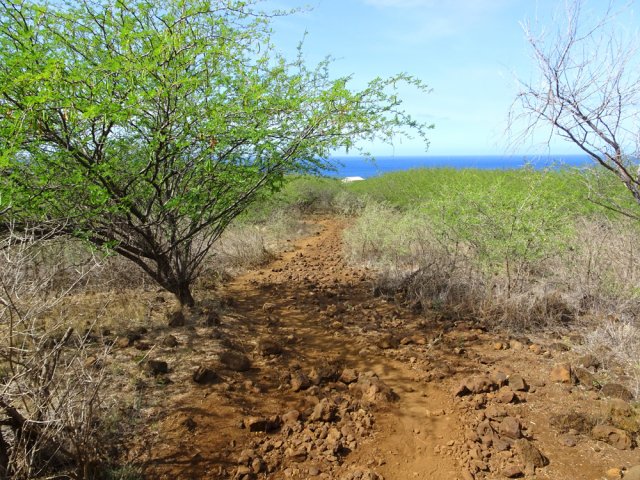 La savane africaine des Communes