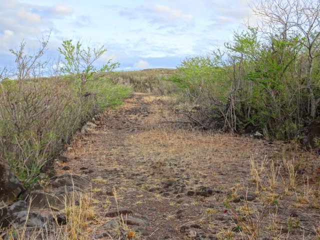 L'ancien Chemin Bruniquel dans une large partie pavée