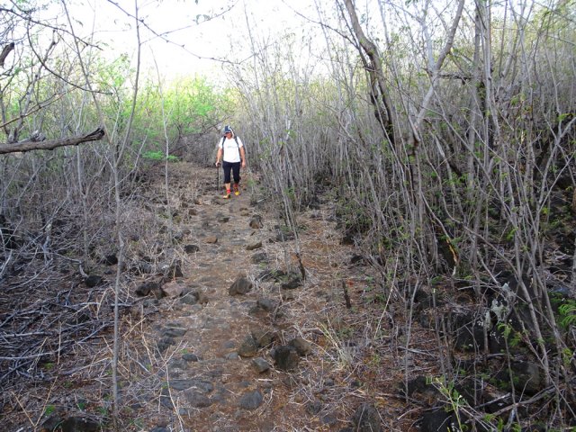 Un autre tronçon plus envahi mais praticable sans griffures