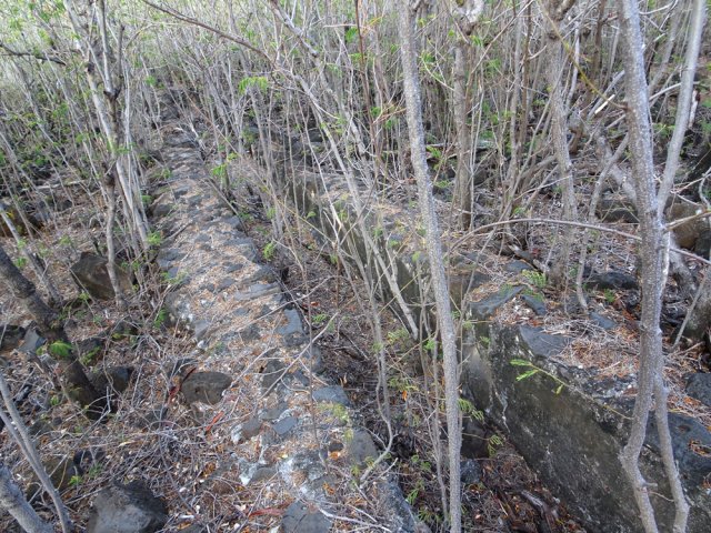 Plusieurs vestiges des canaux de transport de l'eau vers le moulin