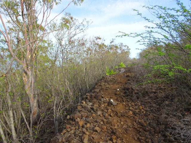 Quelques traces de peinture confirment que l'on est sur la bonne piste