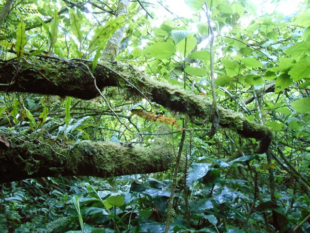Un passage un peu technique mais sans danger