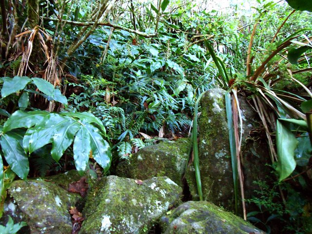 Plus délicat sur les rochers si le temps est humide