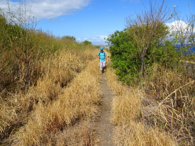 La piste transformée en sentier qui longe la RN1a