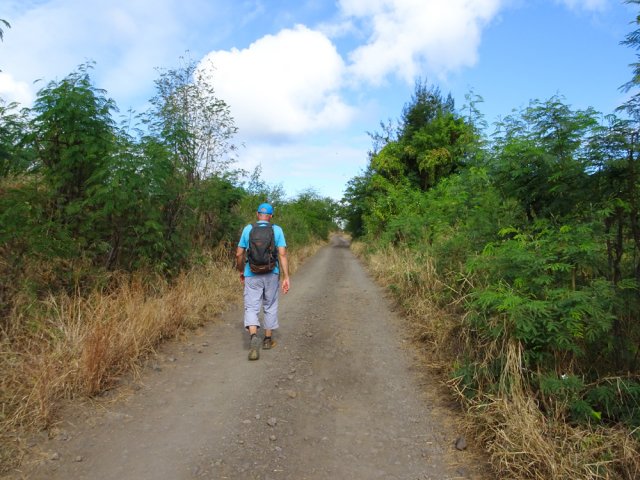Longue piste pour terminer la boucle vers Bois de Nèfles