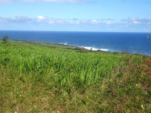 Le retour s’effectue dans la verdure avec des panoramas sur la côte