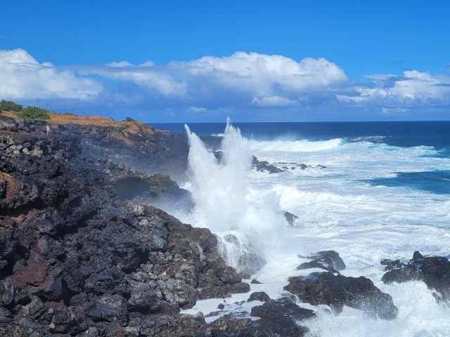 Le plus visité des souffleurs au Cap Portail