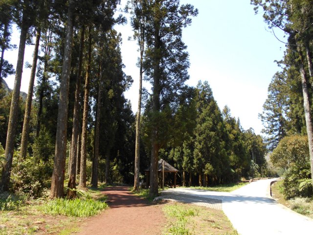 Au début, suivre la piste rouge parallèle à la route