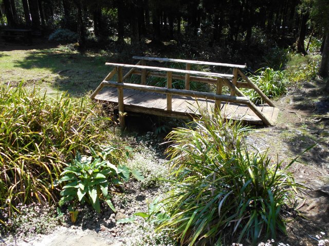 Une passerelle pour franchir le Bras Bayonne, souvent à sec