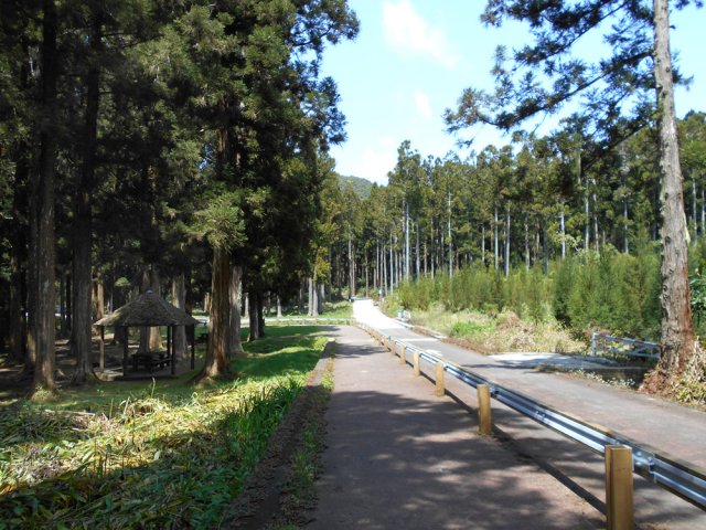 On retrouve la route pour une centaine de mètres