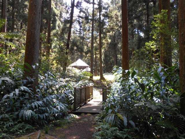 La troisième passerelle depuis le départ