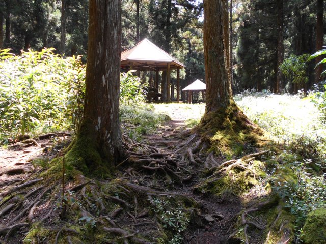 Un kiosque idéalement situé dans une clairière