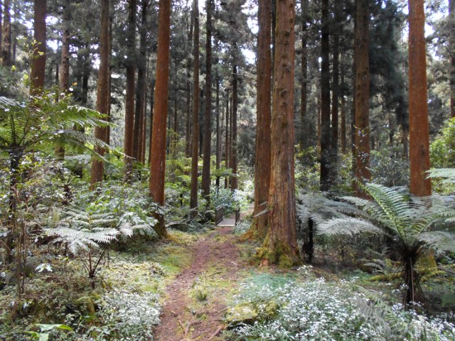 La dernière passerelle avant d'arriver au parking