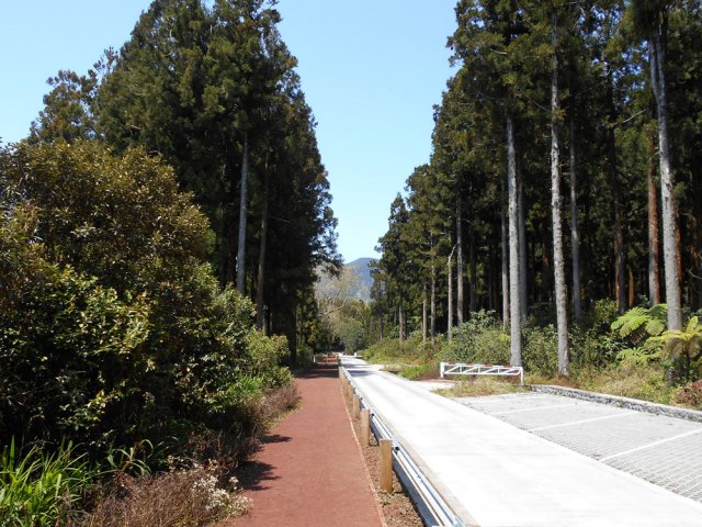 Encore un peu de piste avant d'obliquer vers la gauche sur le sentier