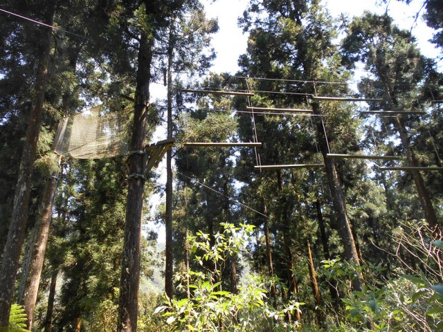 En semaine, pas de monde sur l’acrobranche de l'Acroplaine