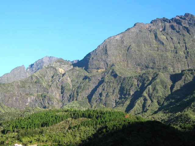 Les cryptomerias autour de la Ravine Kerveguen