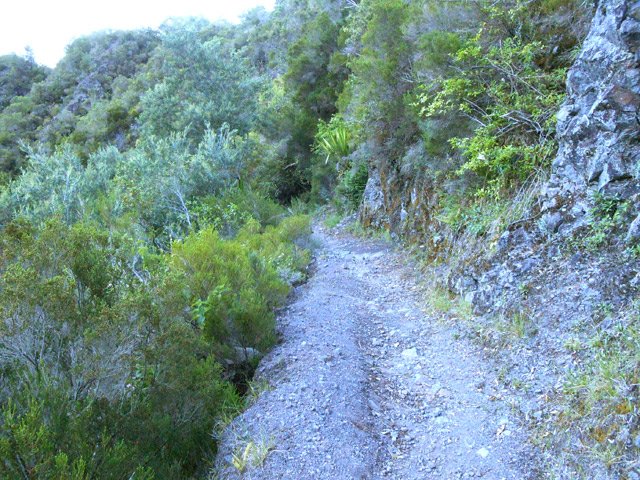 Sentier ombragé facile avant les descentes vers la passerelle
