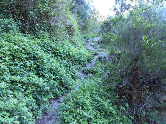 La descente commence sur une partie étroite