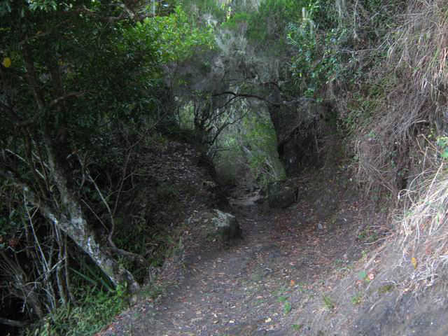 La dernière partie du sentier avant l'arrivée à la route