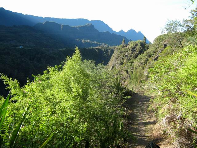 Très beau sentier avec vue sur le Dimitile et la vallée du Bras de Benjoin
