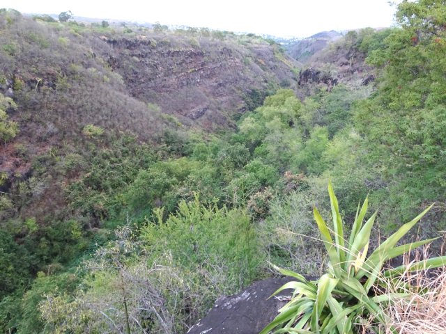 La ravine Saint-Gilles vue depuis le sentier de bord