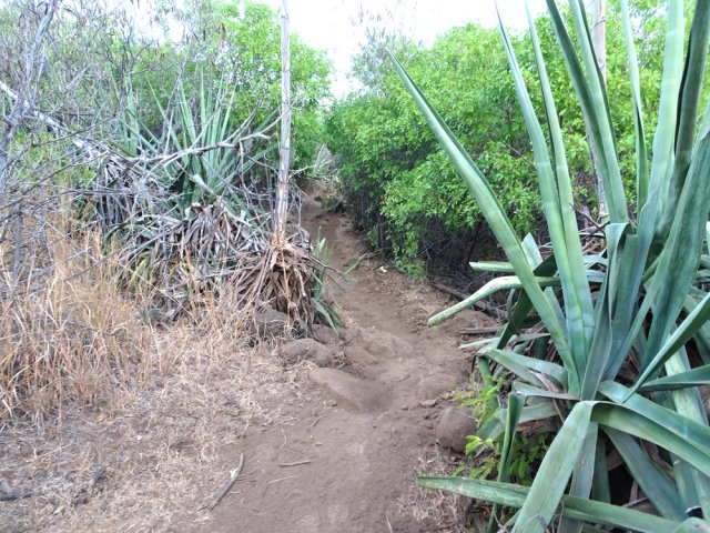 On est accueilli par les chocas qu'on ne quittera guère