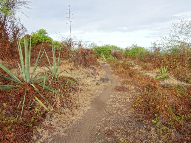 Le manque de pluie se fait sentir un peu partout