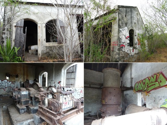 La station de pompage, de plus en plus envahie de végétation