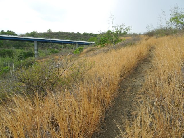 Dernière pente avant le pont