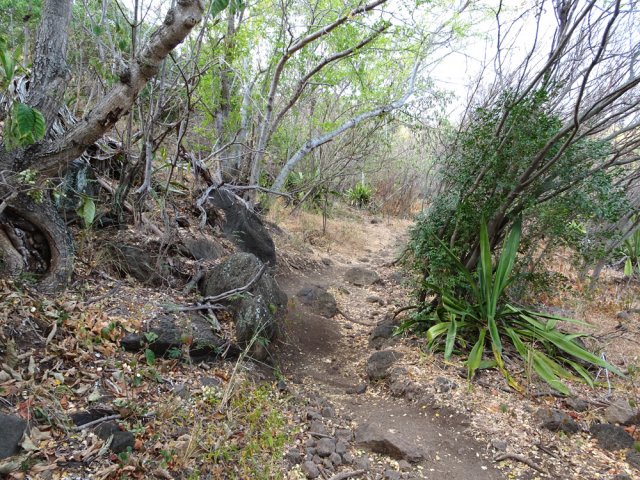 Après la piste, le sentier redevient caillouteux
