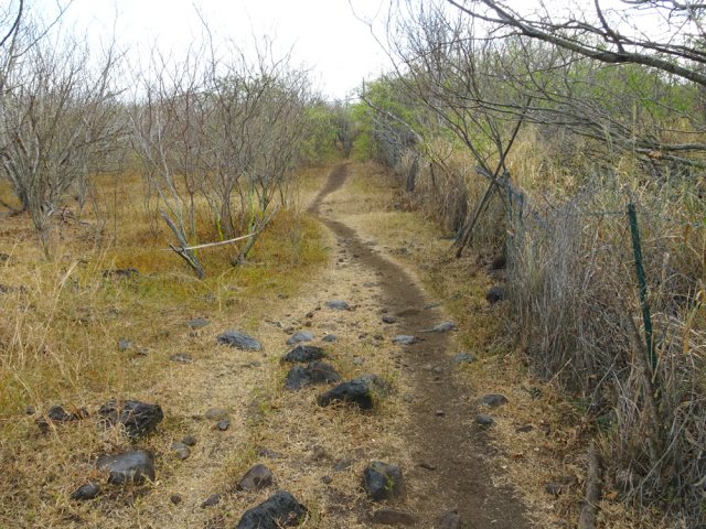 Le grillage qui sépare du golf