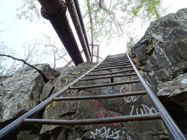 Retour au sentier de bord après l'échelle