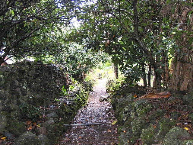 Étroite rue de Grand Bassin bordée de murs en pierres sèches