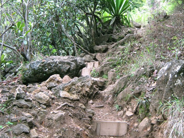 La remontée vers Bois Court est en réalité la partie la plus difficile de la longue sortie