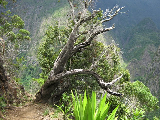 Une idée du sentier dans une partie plate