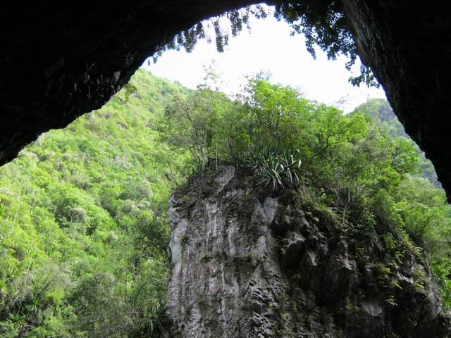 La première grande grotte des Gorges du Bras de la Plaine