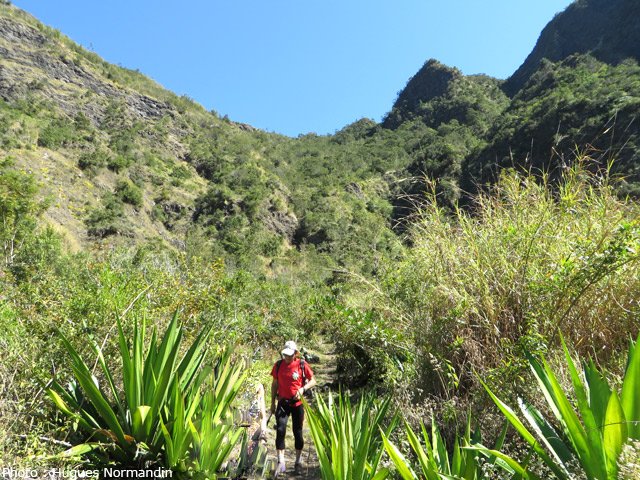 Bientôt la route à Palmiste Rouge