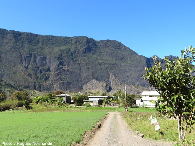Les faubourgs de Palmiste Rouge dans les champs de lentilles