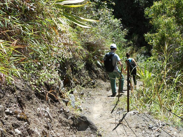 Descente vers Palmiste Rouge pour rejoindre le terrain de sport