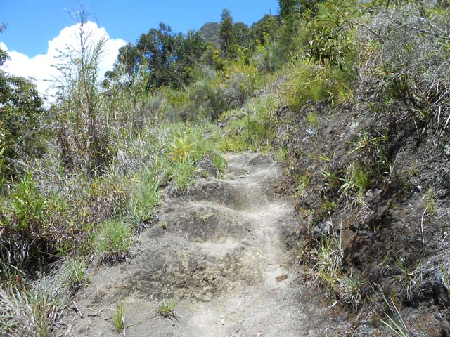 Quelques montées glissantes vers le Piton Morel