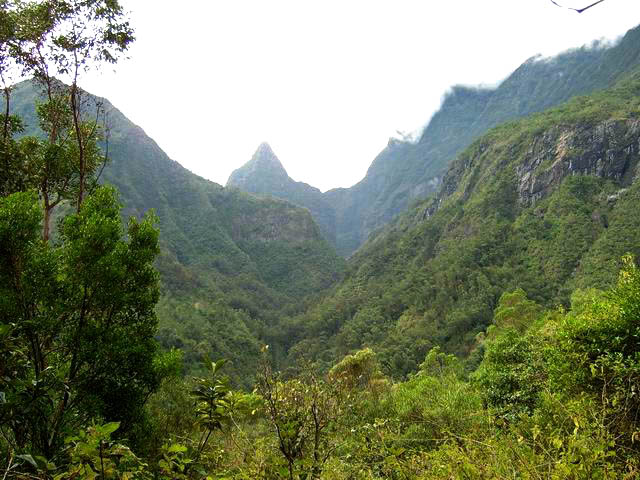 La Ravine des Calumets et le Bonnet de Prêtre vus du Morne Gros Galets